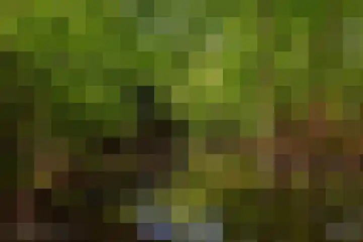 Mozartlaan 124 Den Haag thumbnail 27