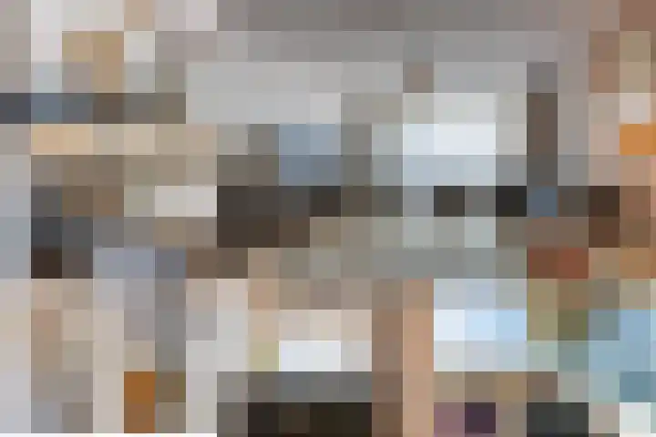 Mozartlaan 124 Den Haag thumbnail 34