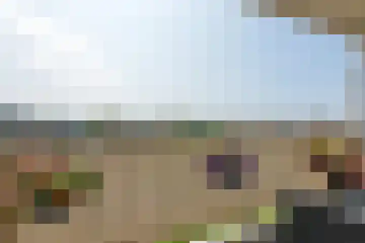 Mozartlaan 124 Den Haag thumbnail 6