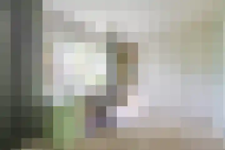 Mozartlaan 124 Enschede thumbnail 20
