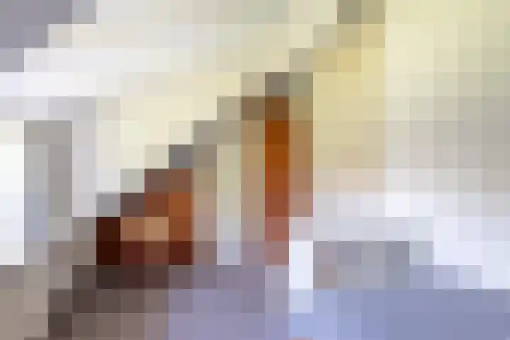 Mozartlaan 124 Enschede thumbnail 25