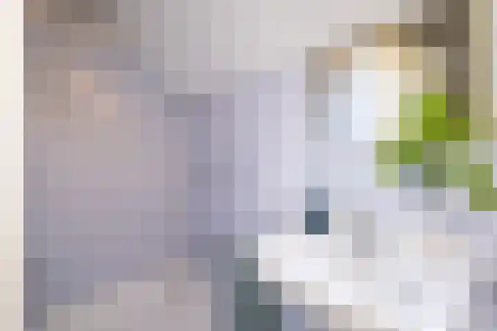 Mozartlaan 124 Enschede thumbnail 34