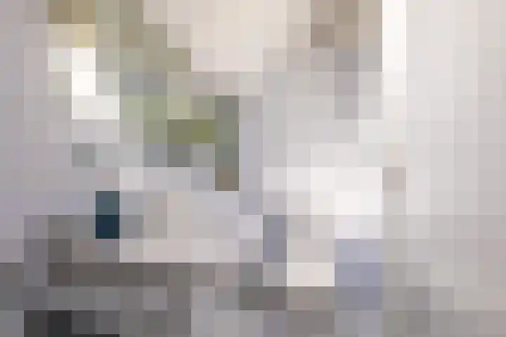 Mozartlaan 124 Enschede thumbnail 35