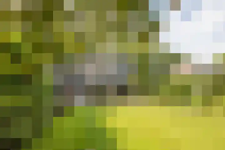 Mozartlaan 124 Enschede thumbnail 36
