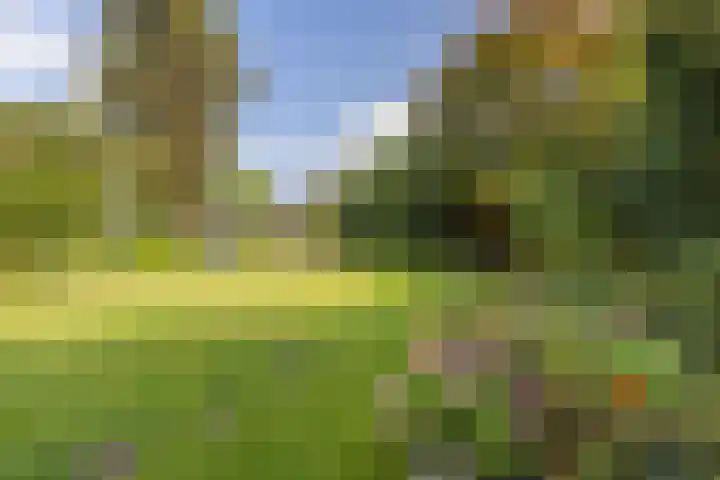 Mozartlaan 124 Enschede thumbnail 37