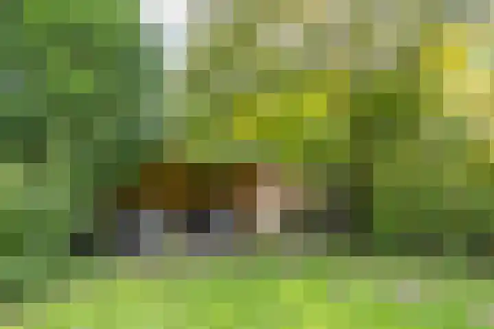 Mozartlaan 124 Enschede thumbnail 38