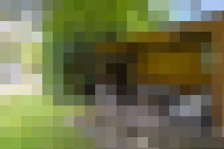 Mozartlaan 124 Enschede thumbnail 39
