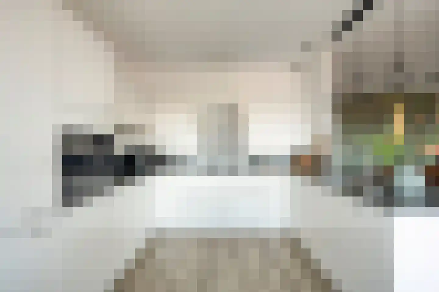Mozartlaan 127 Voorhout thumbnail 17