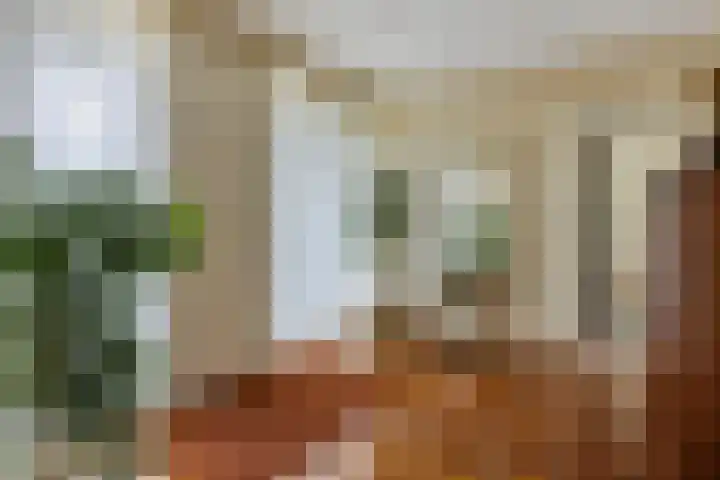 Mozartlaan 13 Oss thumbnail 10