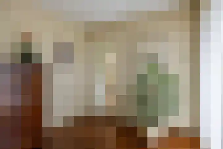 Mozartlaan 13 Oss thumbnail 11