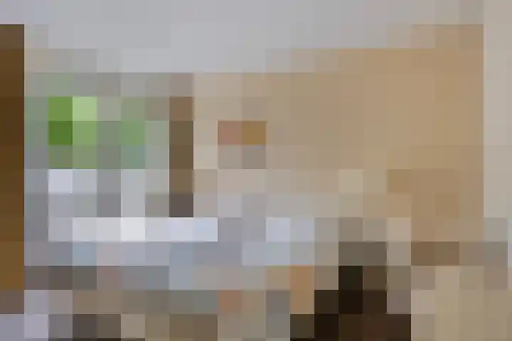 Mozartlaan 13 Oss thumbnail 14