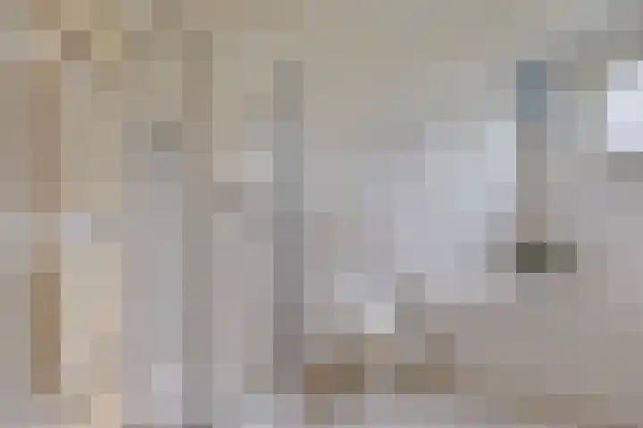 Mozartlaan 13 Oss thumbnail 20