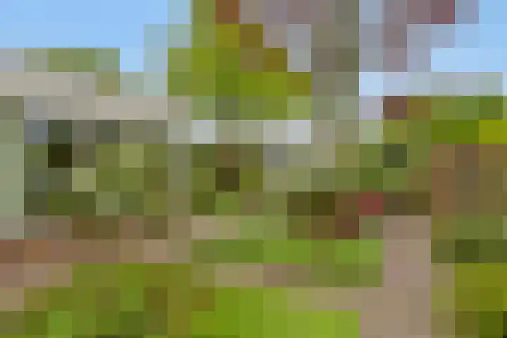 Mozartlaan 13 Oss thumbnail 33