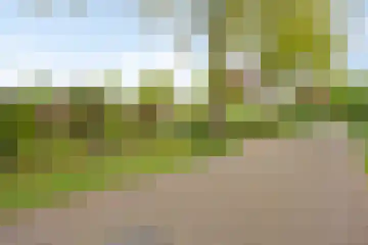 Mozartlaan 13 Oss thumbnail 36