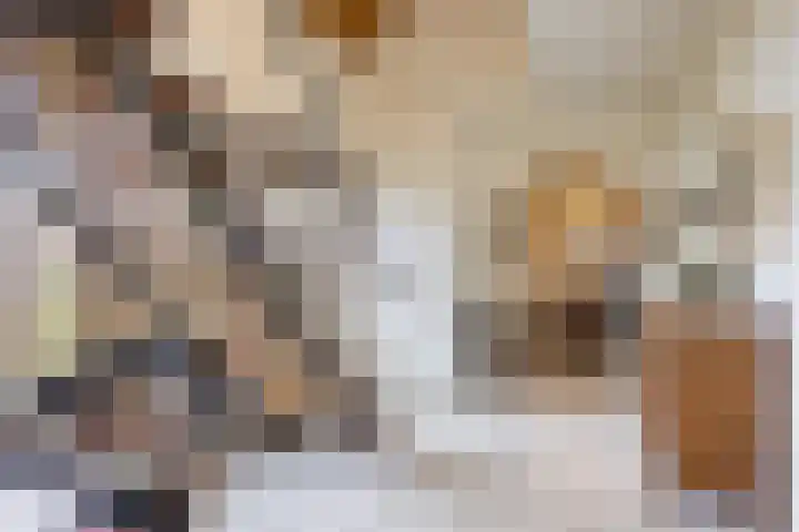 Mozartlaan 133 Enschede thumbnail 18