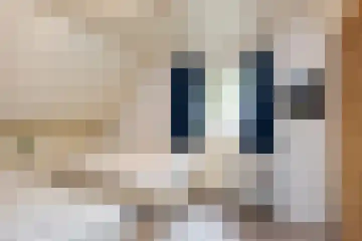 Mozartlaan 133 Enschede thumbnail 24