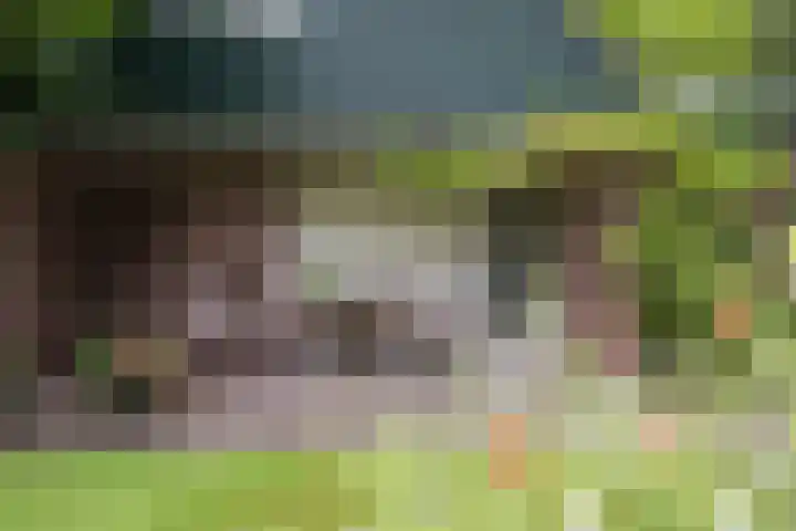 Mozartlaan 133 Enschede thumbnail 28
