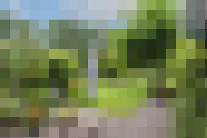 Mozartlaan 133 Enschede thumbnail 29