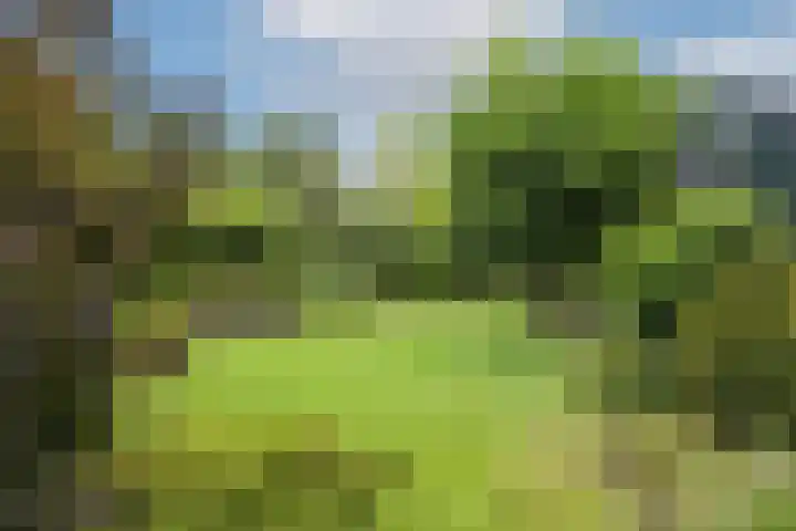 Mozartlaan 133 Enschede thumbnail 30