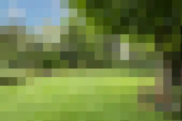 Mozartlaan 133 Enschede thumbnail 31