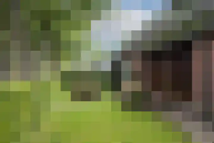 Mozartlaan 133 Enschede thumbnail 38