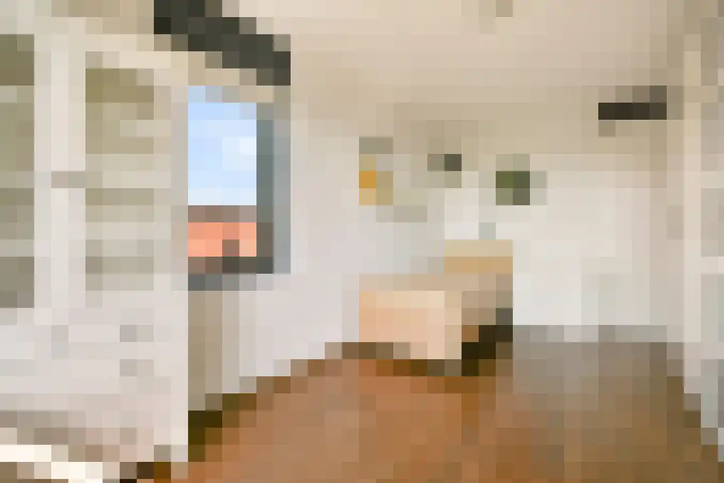 Mozartlaan 137 Voorhout thumbnail 16