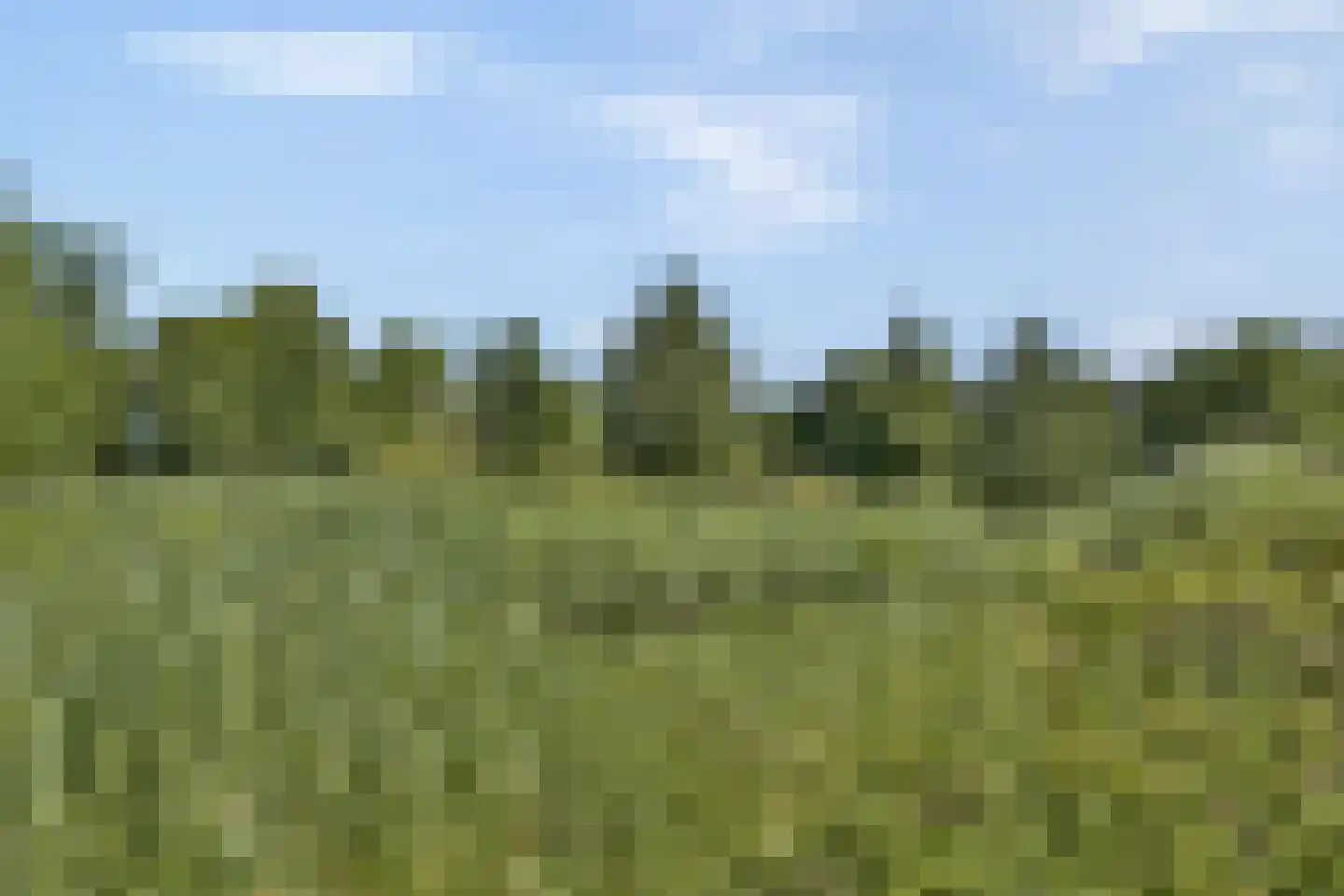 Mozartlaan 137 Voorhout thumbnail 20