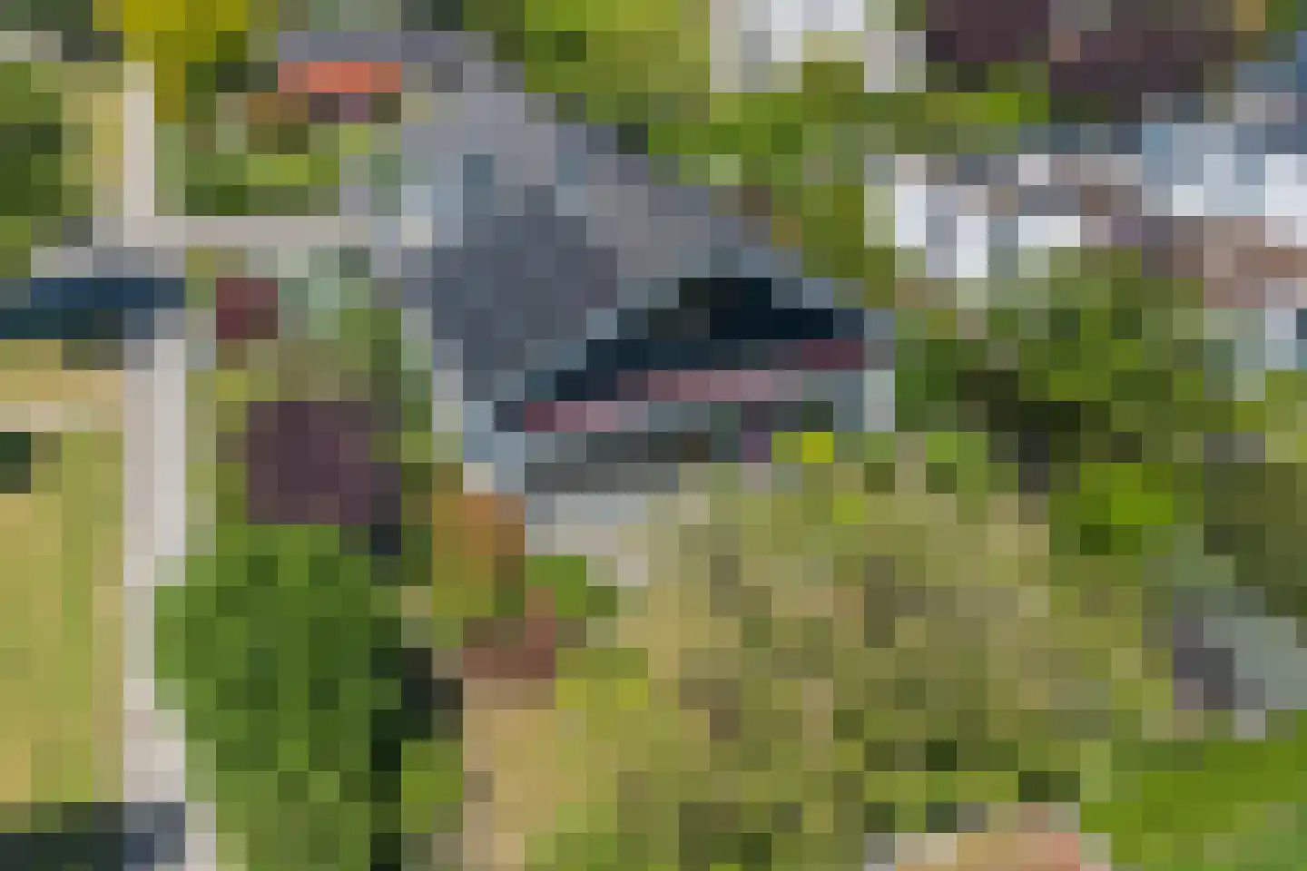 Mozartlaan 140 Rotterdam foto 2