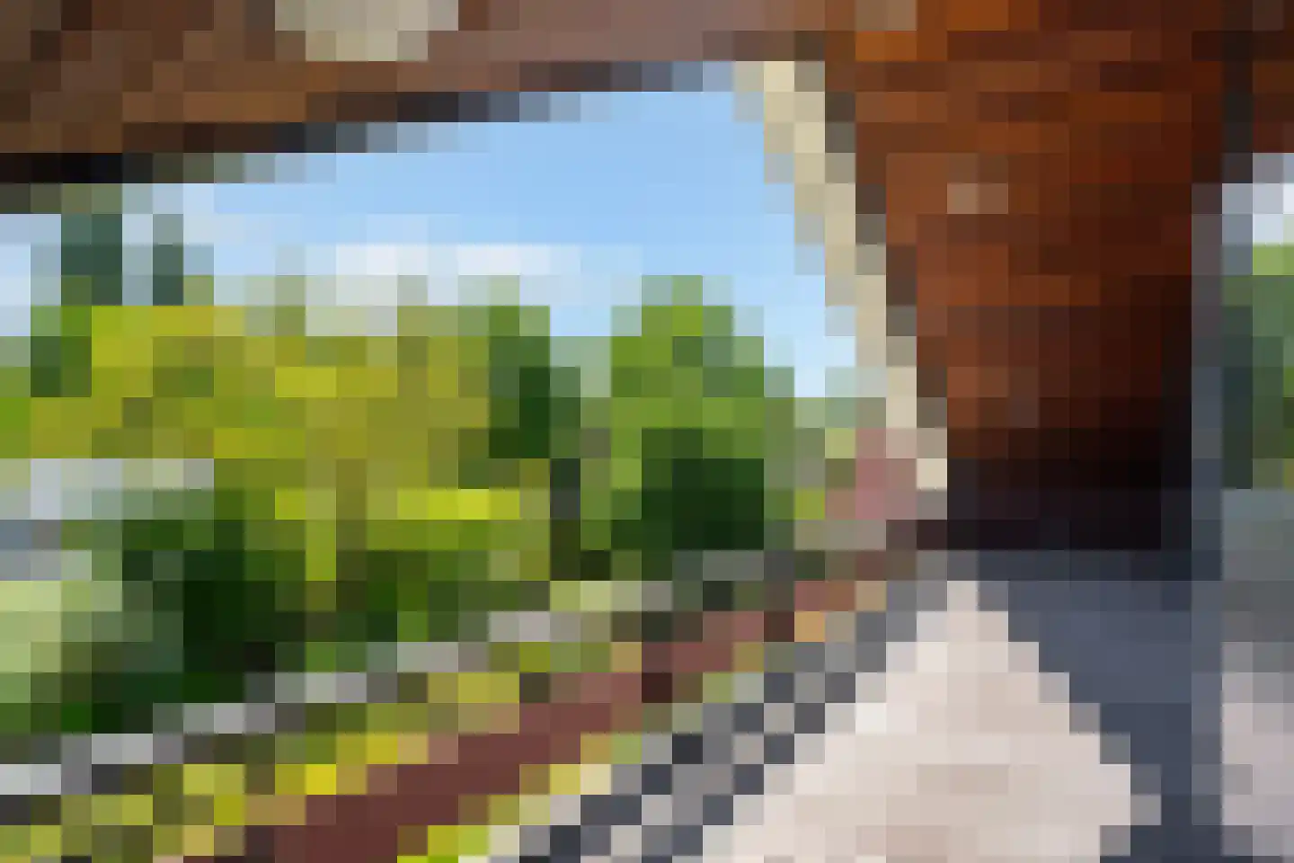 Mozartlaan 140 Rotterdam thumbnail 34