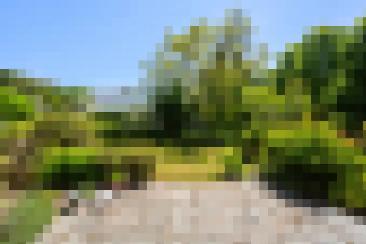Mozartlaan 140 Rotterdam thumbnail 38