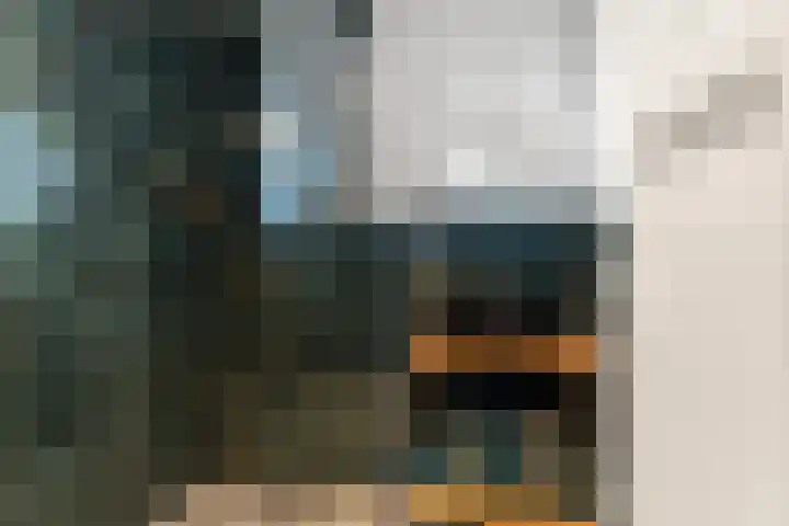 Mozartlaan 143 Den Haag thumbnail 33