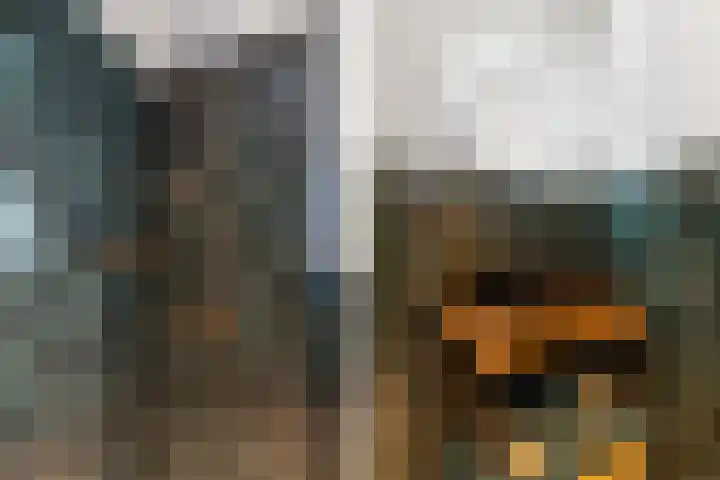 Mozartlaan 143 Den Haag thumbnail 35