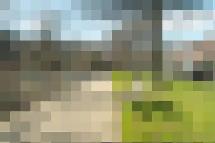 Mozartlaan 143 Den Haag thumbnail 43