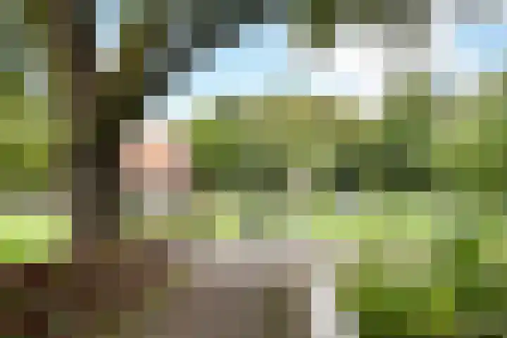 Mozartlaan 143 Den Haag thumbnail 44