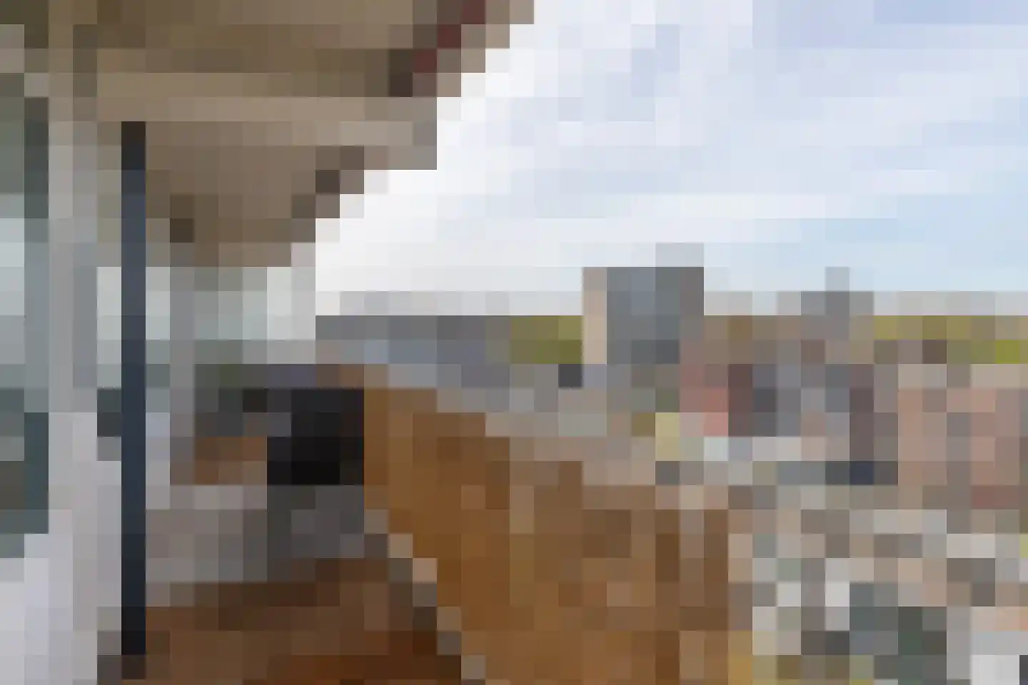 Mozartlaan 146 Den Haag thumbnail 15