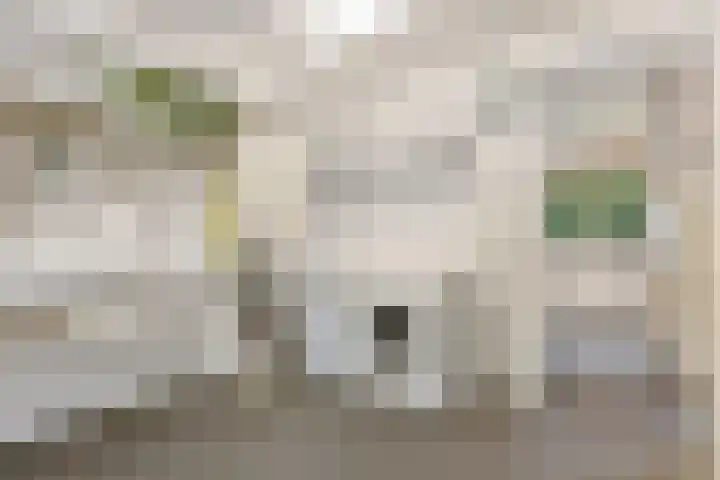 Mozartlaan 151 Enschede thumbnail 16