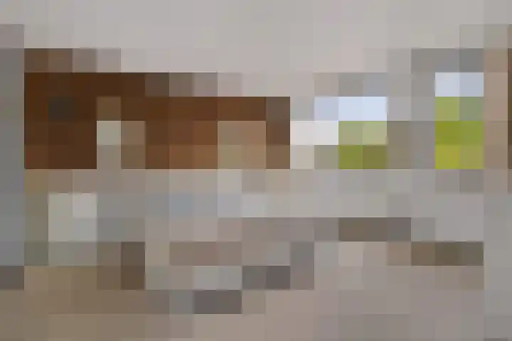 Mozartlaan 151 Enschede thumbnail 24