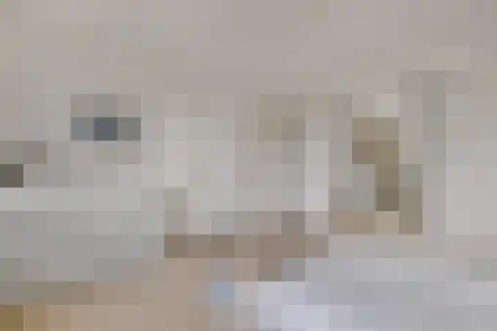 Mozartlaan 151 Enschede thumbnail 28
