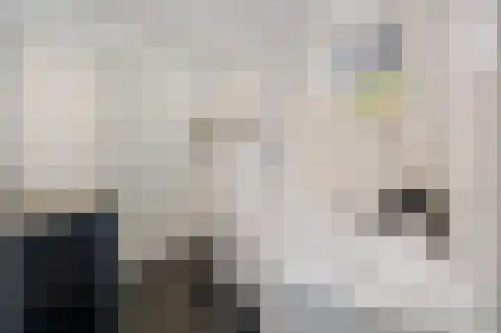 Mozartlaan 151 Enschede thumbnail 29