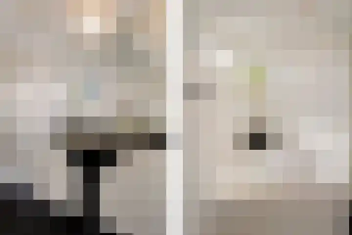Mozartlaan 151 Enschede thumbnail 30
