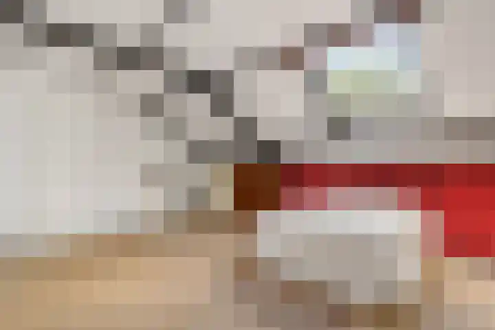 Mozartlaan 151 Enschede thumbnail 35