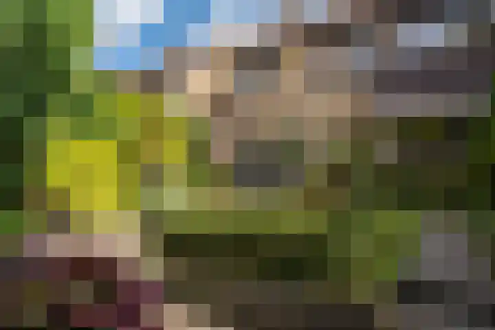 Mozartlaan 151 Enschede thumbnail 38