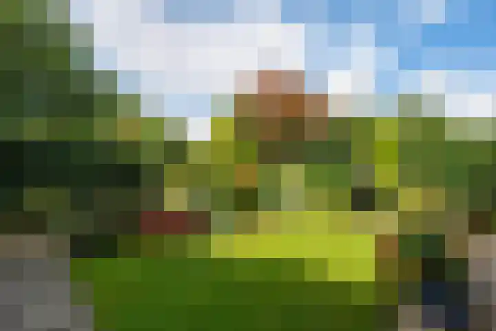 Mozartlaan 151 Enschede thumbnail 40