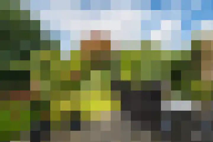 Mozartlaan 151 Enschede thumbnail 41