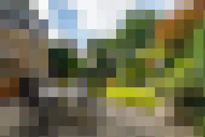 Mozartlaan 151 Enschede thumbnail 42