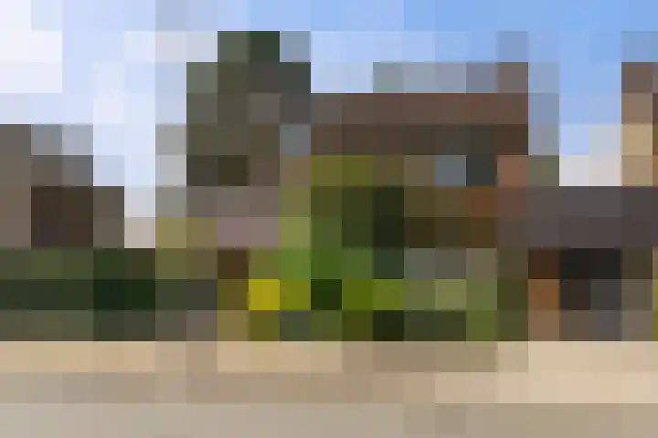 Mozartlaan 151 Enschede thumbnail 5