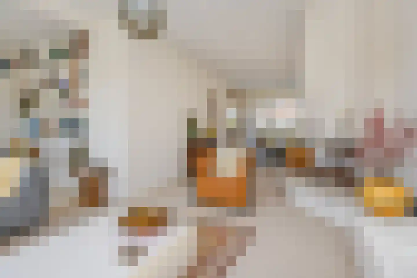 Mozartlaan 153 Den Haag thumbnail 17