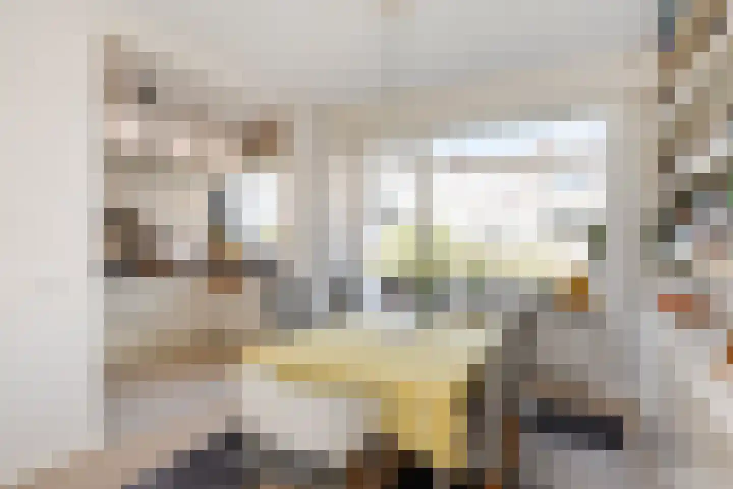 Mozartlaan 153 Den Haag thumbnail 22