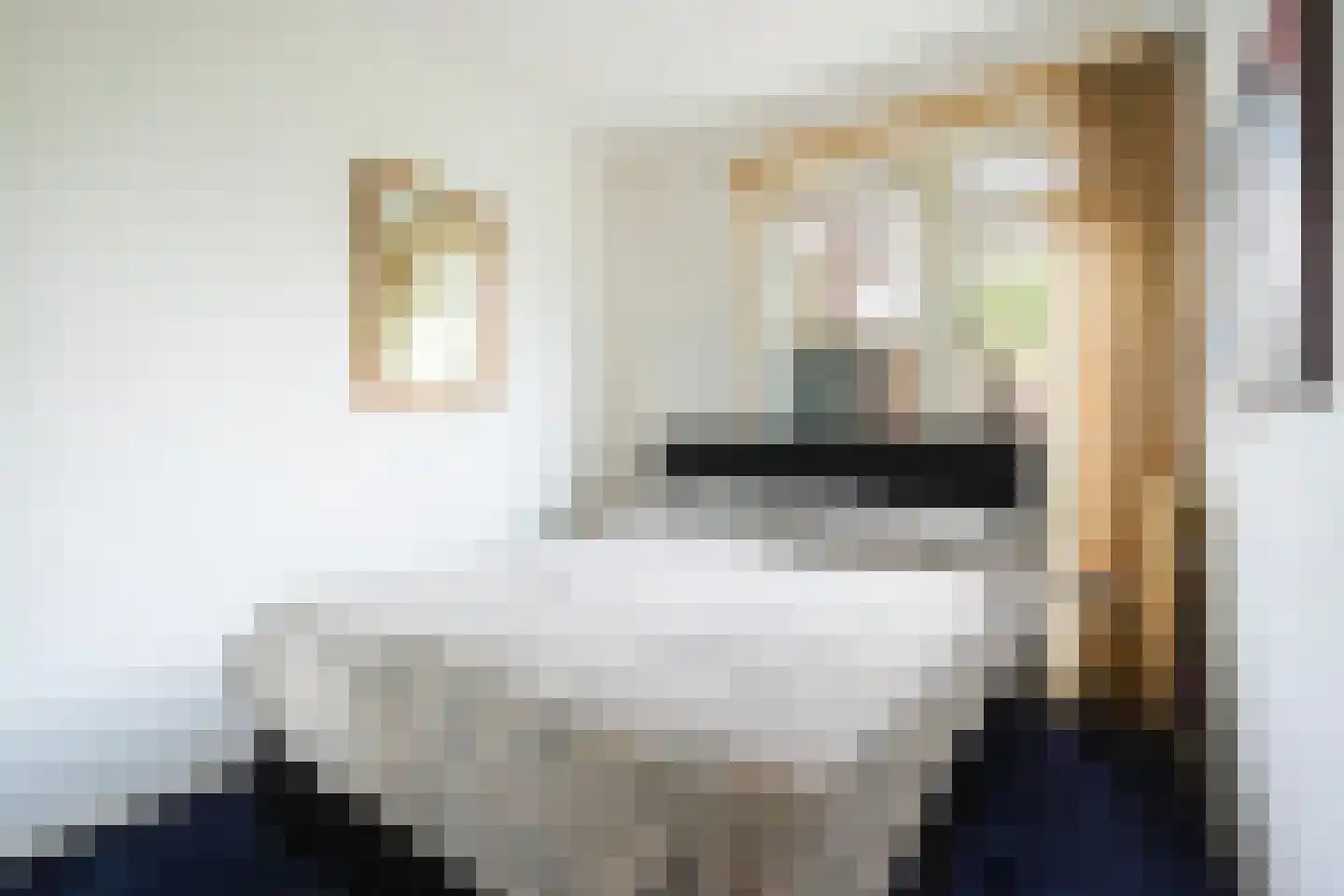 Mozartlaan 159 Den Haag thumbnail 25