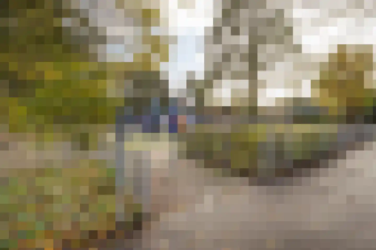 Mozartlaan 159 Den Haag thumbnail 31